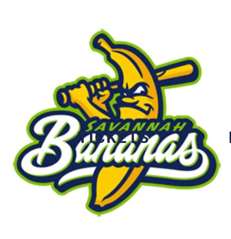 Savannah Bananas Salary: An Analytical Deep Dive