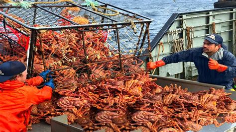 The High-Stakes Catch: Deconstructing the Alaskan King Crab Fisherman Salary