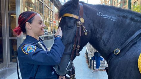The Salary of a Police Officer in New York: A Deep Dive