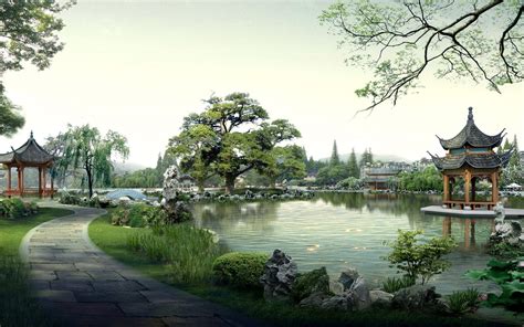Understanding the Chinese Professional Landscape