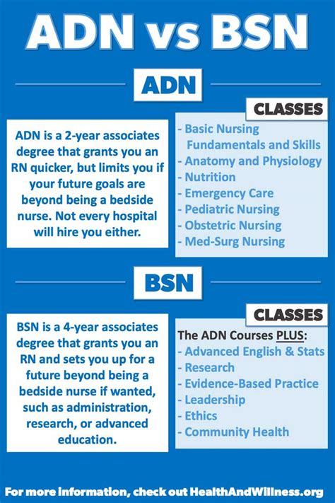 Understanding the Role: What You'll Do as an RN with a 2-Year Degree