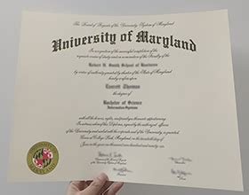 Understanding the Value of a UMD Degree