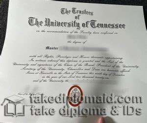 What Can You Do with a UT Knoxville Degree?