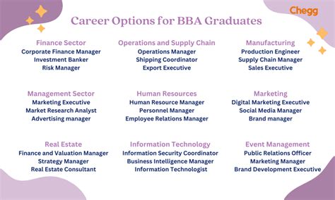 What Do BBA Graduates Do? A Look at Common Career Paths