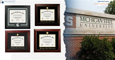 What Do Michigan State University Graduates Do?
