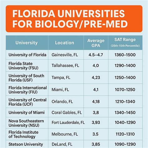 What Do Professionals at a Florida University Do?