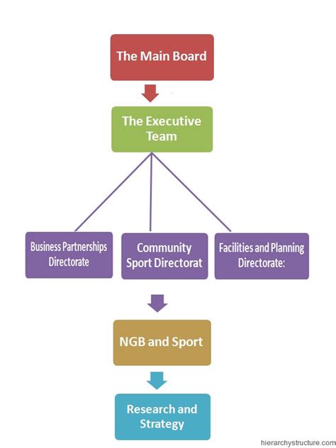 What Do Professionals at a Sports Organization Do?