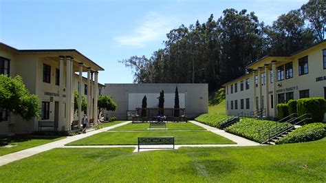 What Do Professionals at the University of California Do?