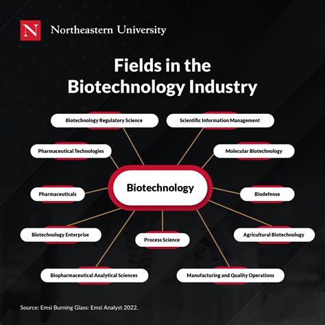 What Do Professionals in Biotechnology Do?