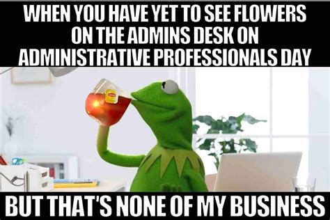 What Do the Professionals Behind the Meme Do?