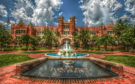 What Do University Professionals in Florida Do?