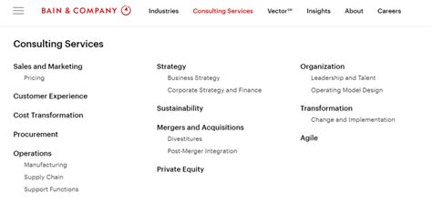 What Does a Bain & Company Consultant Do?