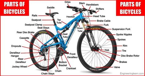 What Does a Bike Mechanic Do? A Look Beyond the Wrenches