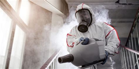 What Does a Biohazard Cleanup Technician Actually Do?