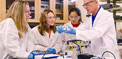 What Does a Biomedical Scientist Do? The Engine of Medical Innovation