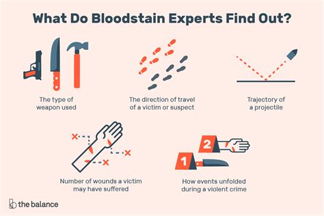 What Does a Bloodstain Pattern Analyst Do?