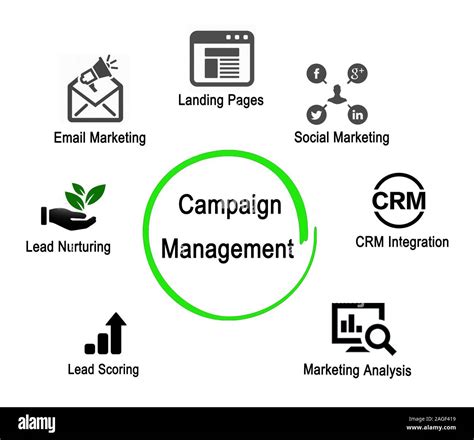 What Does a Campaign Manager Do?