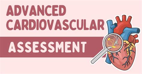 What Does a Cardiovascular Nurse Practitioner Do?