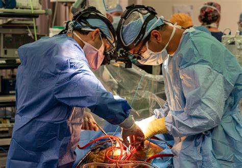 What Does a Cardiovascular Surgeon Do?