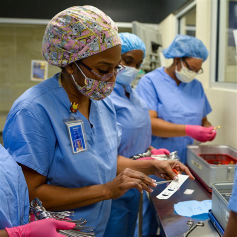 What Does a Central Sterile Technician Do?