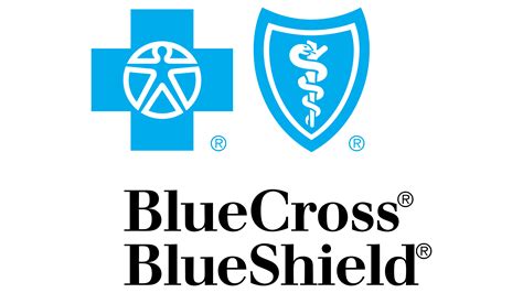 What Does a CEO of a Blue Cross Blue Shield Company Do?