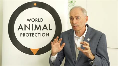 What Does a CEO of an Animal Welfare Organization Do?
