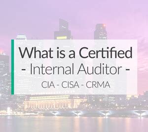 What Does a Certified Internal Auditor (CIA) Do?