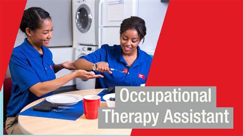 What Does a Certified Occupational Therapy Assistant Do?