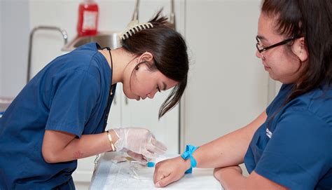 What Does a Certified Phlebotomy Technician Do?