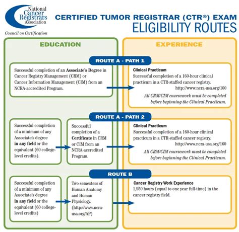What Does a Certified Tumor Registrar Do? The Unseen Heroes of Oncology
