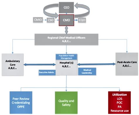 What Does a Chief Medical Officer Do?