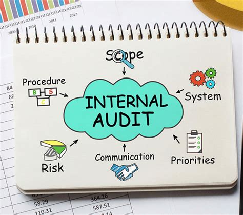 What Does a CIA Auditor Do?