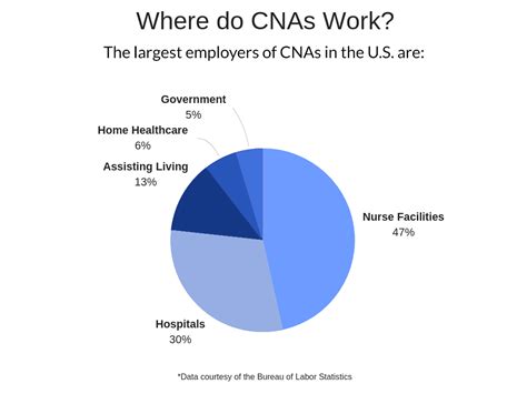 What Does a CNA in Michigan Do?