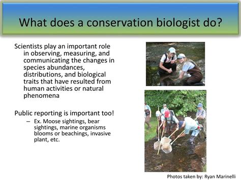 What Does a Conservation Biologist Do?