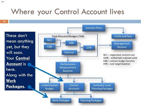 What Does a Control Account Manager Do?