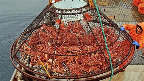 What Does a Crab Fisherman Do?