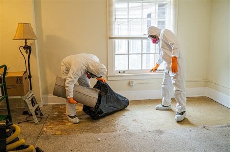 What Does a Crime Scene Cleanup Professional Do?