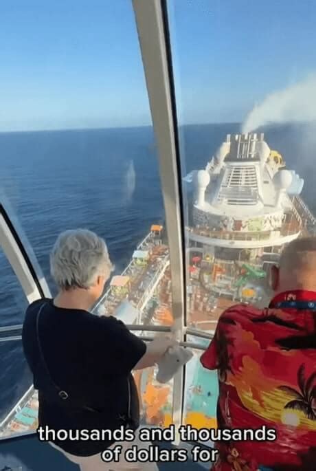 What Does a Cruise Ship Worker Do?