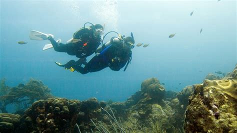 What Does a Deep Sea Diver Do?