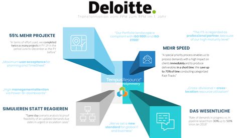 What Does a Deloitte IT Professional Do?