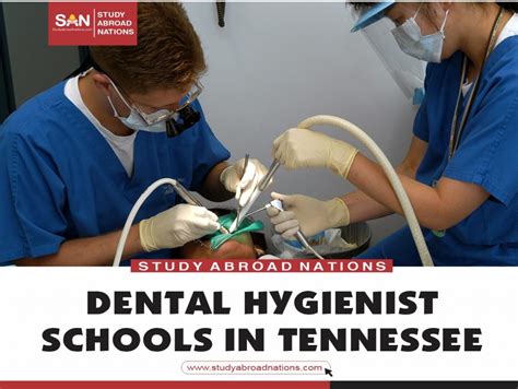 What Does a Dental Hygienist in Tennessee Do?