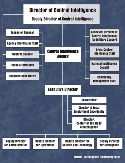 What Does a Director at the CIA Do?