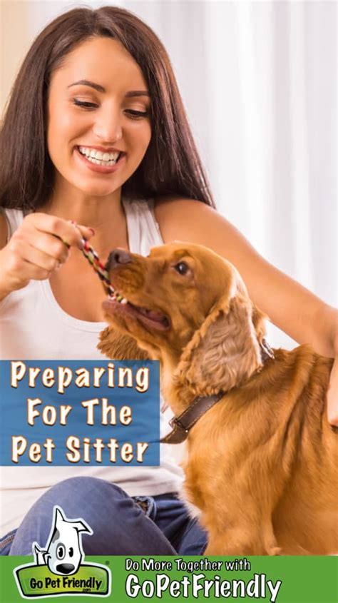 What Does a Dog Sitter Do?