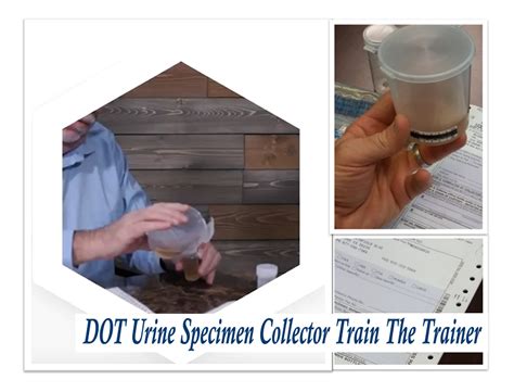 What Does a DOT Specimen Collector Do?