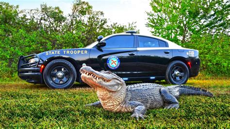 What Does a Florida Highway Patrol Trooper Do?