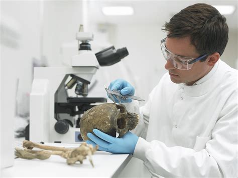 What Does a Forensic Analyst Do?