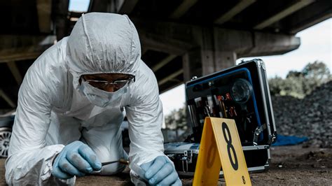 What Does a Forensic Entomologist Do?