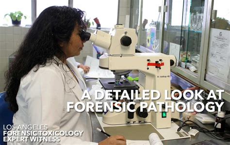 What Does a Forensic Pathologist Do?