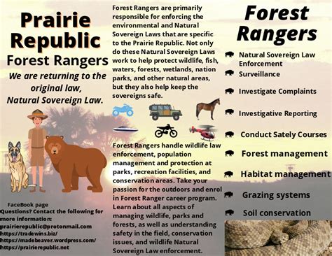What Does a Forest Ranger Do?