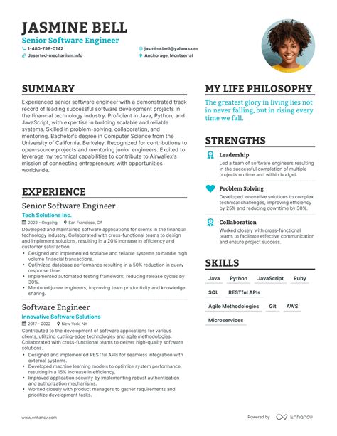 What Does a High-Earning Professional Do? A Look at the Senior Software Engineer